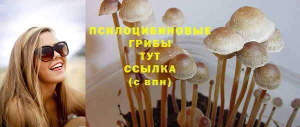 прущие крисы Баксан