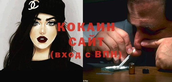молекула духа Балахна
