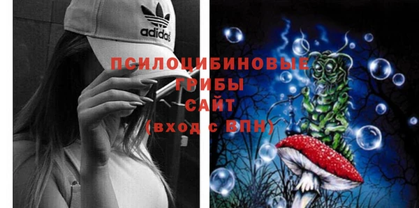 прущие крисы Баксан