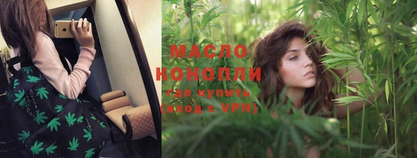 молекула духа Балахна