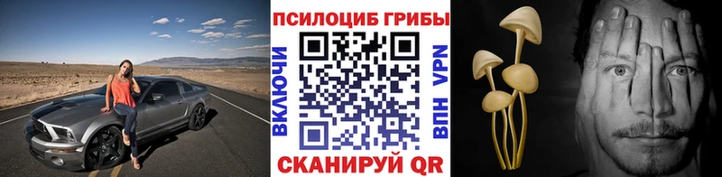 где купить   Верея  Галлюциногенные грибы ЛСД 
